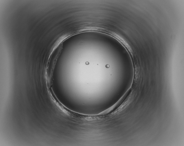 X0000113560906200909181217