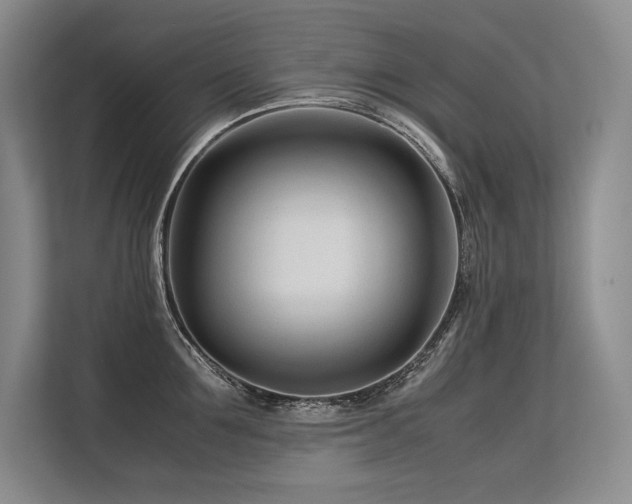 X0000113560907200909181217