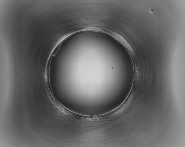 X0000113560908200909181217