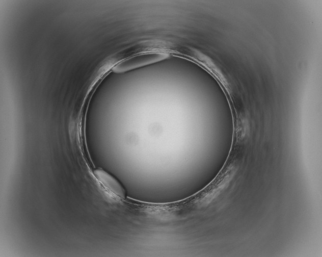 X0000113560909200909181217