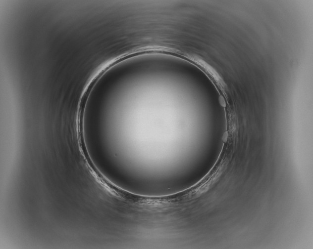 X0000113560910200909181217