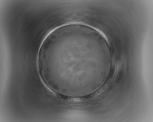 X0000113560911200909181217