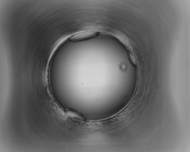 X0000113560912200909181217