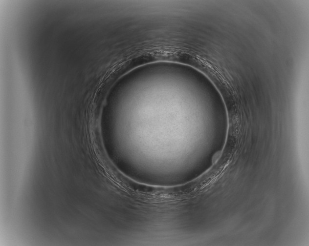 X0000113560913200909181216