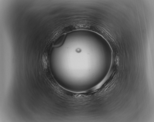 X0000113560915200909181216