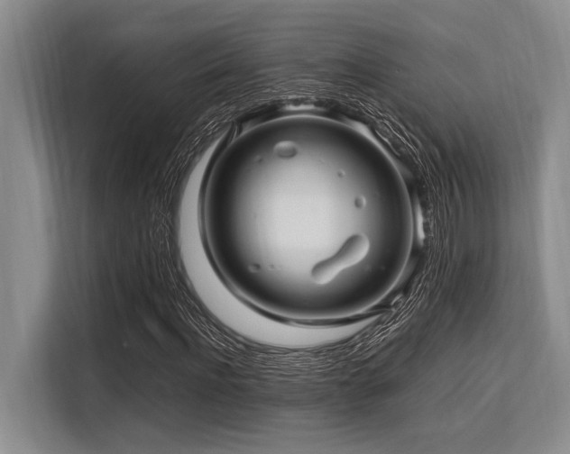 X0000113560916200909181216