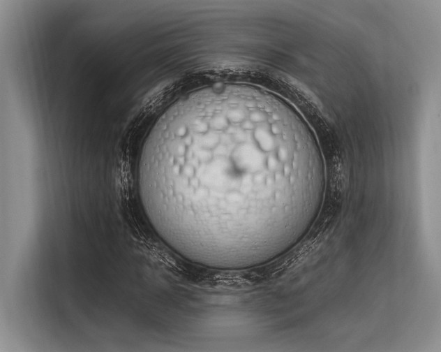 X0000113560918200909181216