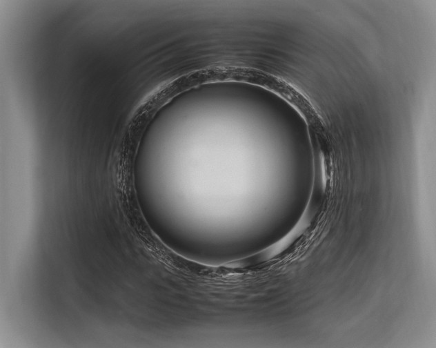 X0000113560919200909181216