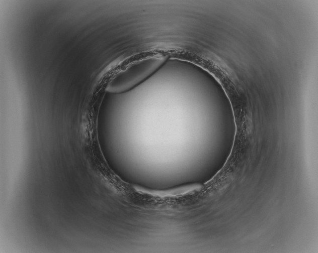 X0000113560920200909181216