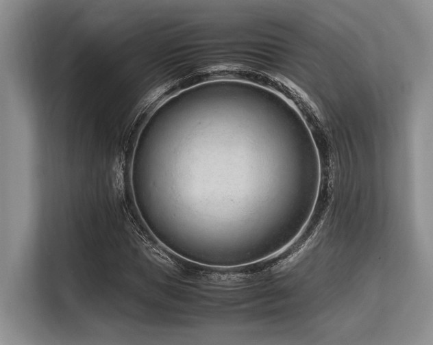 X0000113560921200909181216