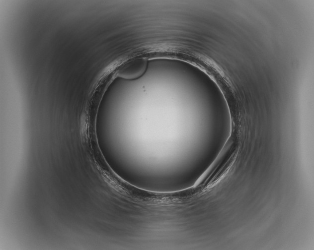 X0000113560922200909181216