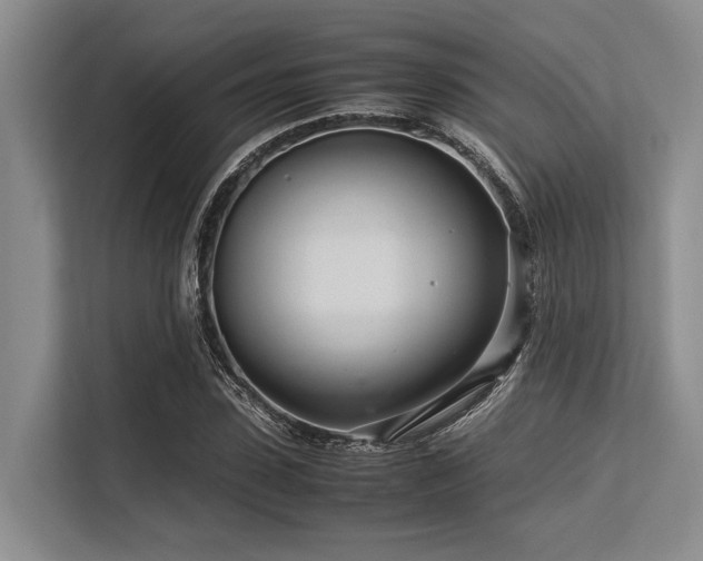X0000113560923200909181216