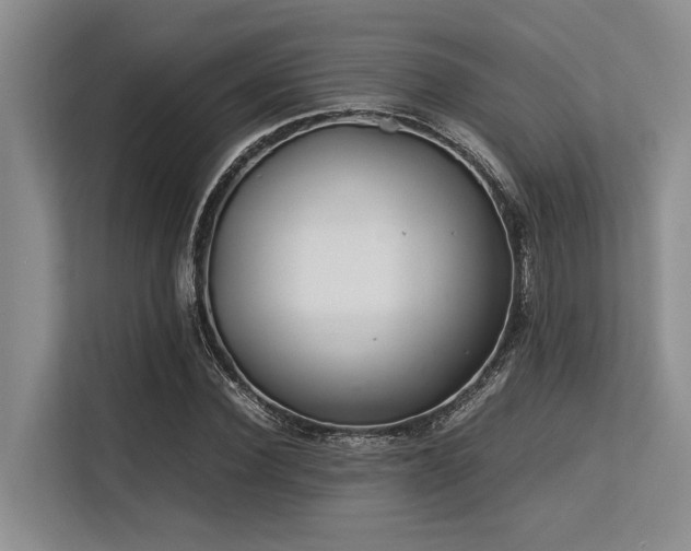 X0000113560924200909181216