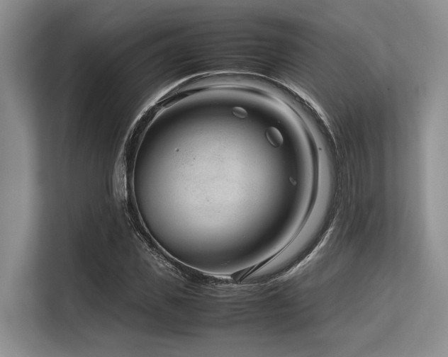 X0000113560925200909181216