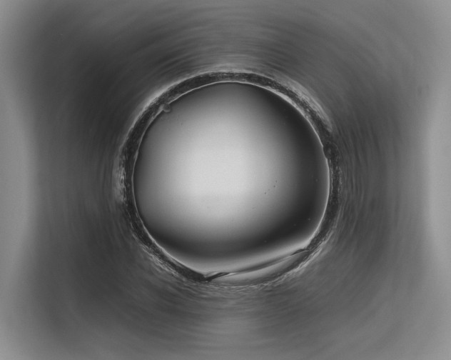 X0000113560926200909181216