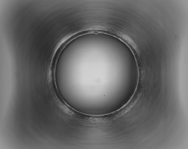 X0000113560928200909181216