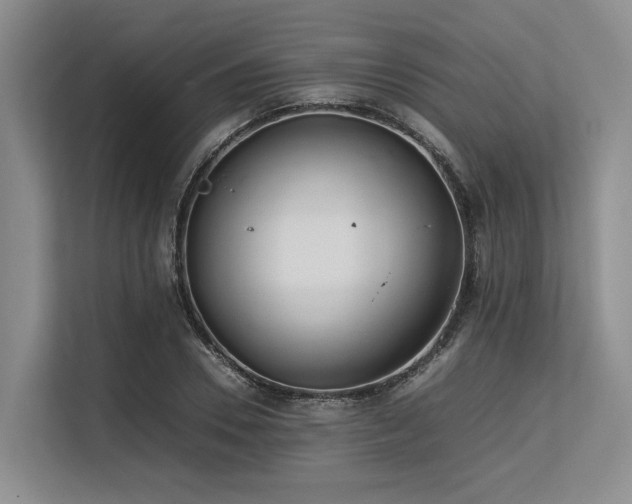 X0000113560930200909181216