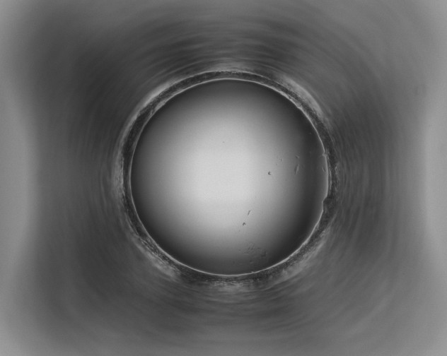 X0000113560931200909181216
