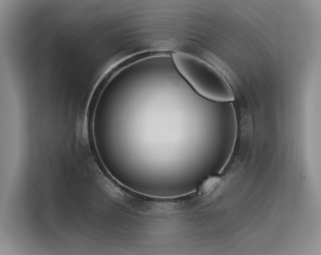 X0000113560932200909181216