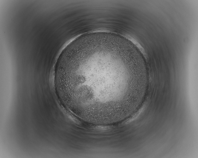 X0000113560933200909181216