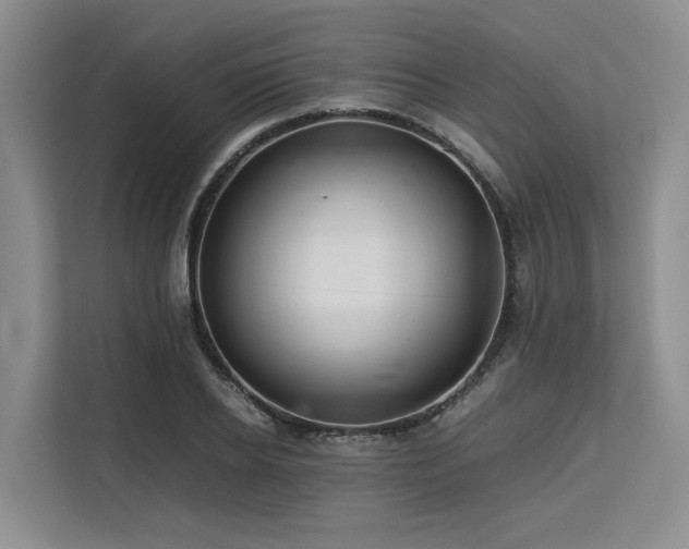 X0000113560934200909181216