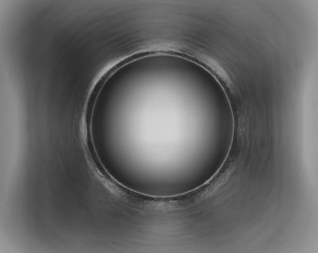 X0000113560936200909181217