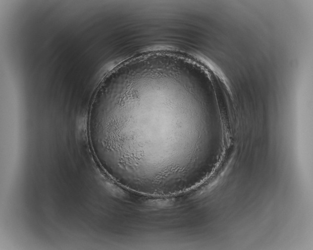 X0000113560937200909181217