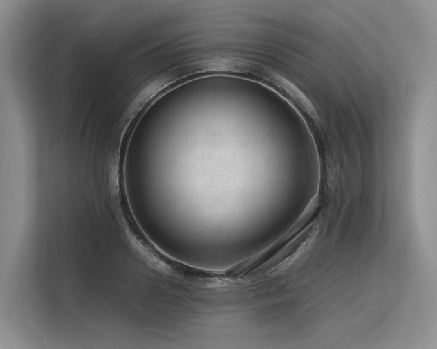 X0000113560938200909181217