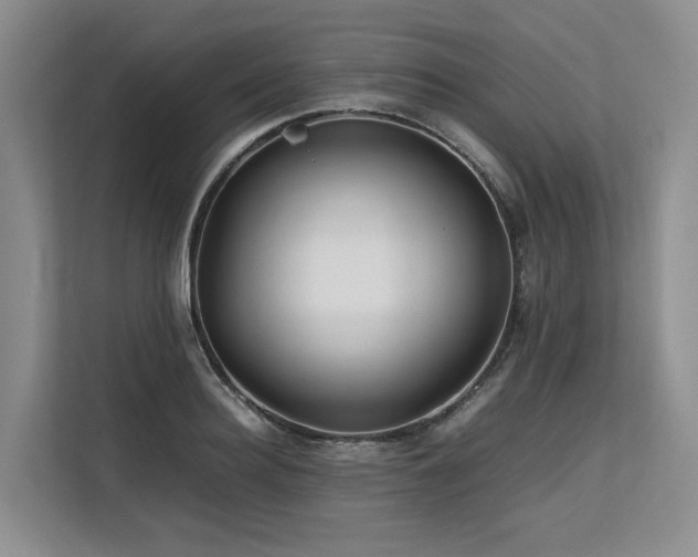 X0000113560940200909181217