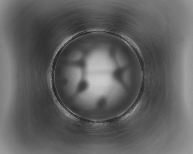 X0000113560941200909181217