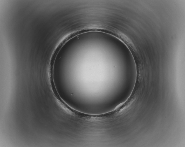 X0000113560942200909181217
