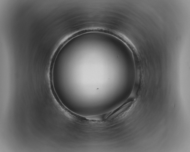 X0000113560943200909181217