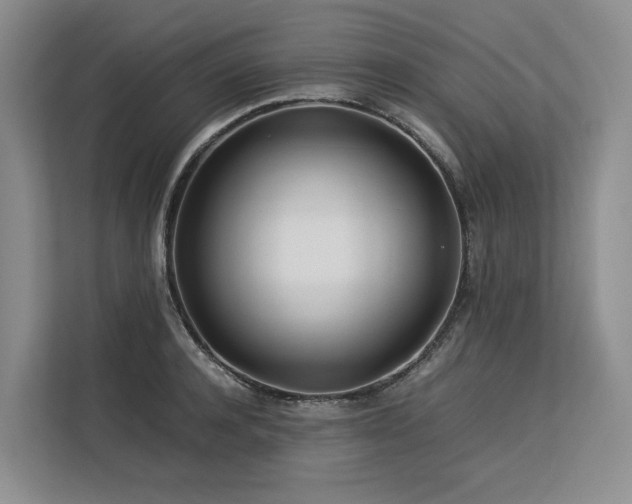 X0000113560944200909181217