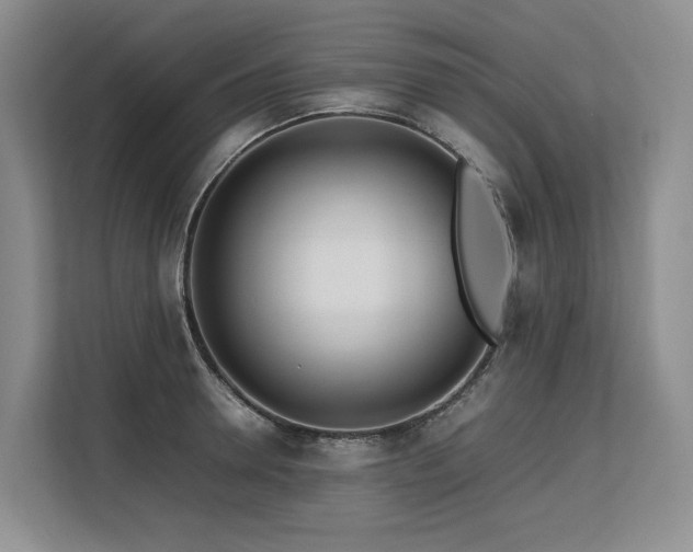 X0000113560946200909181217