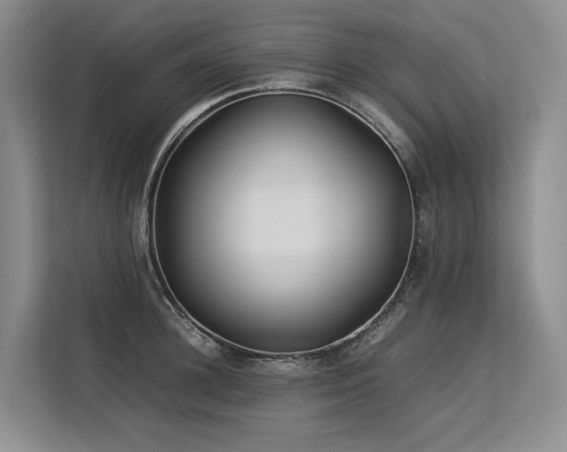 X0000113560948200909181217