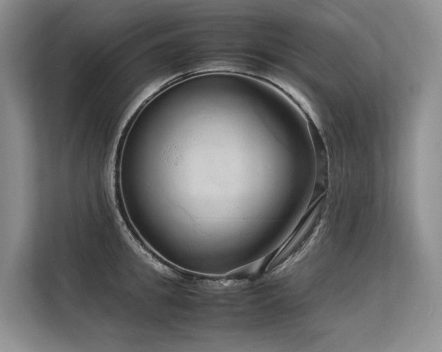 X0000113560949200909181217