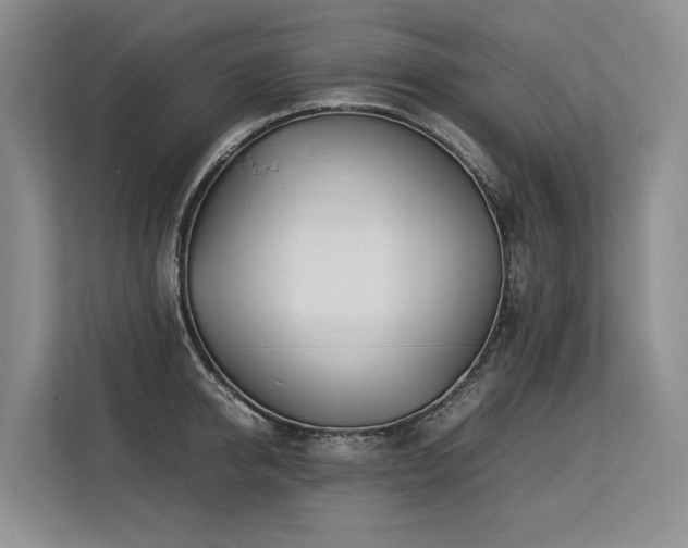 X0000113560950200909181217