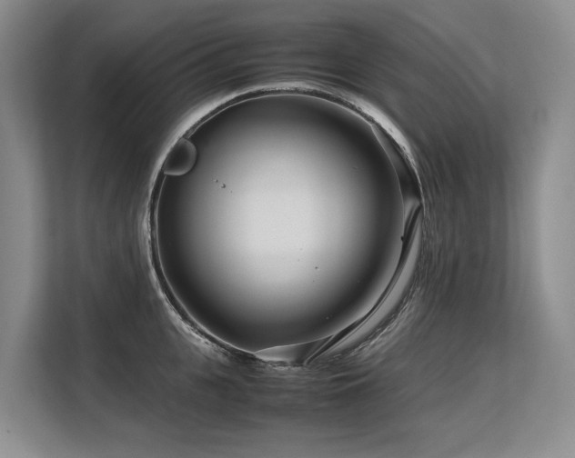 X0000113560951200909181217