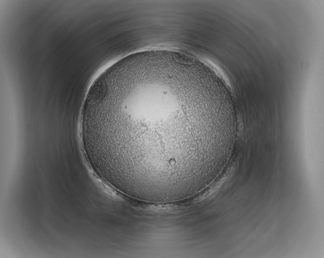 X0000113560952200909181217