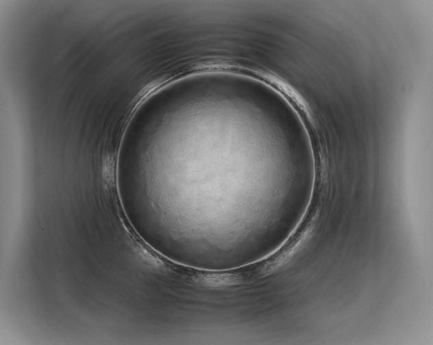 X0000113560953200909181217