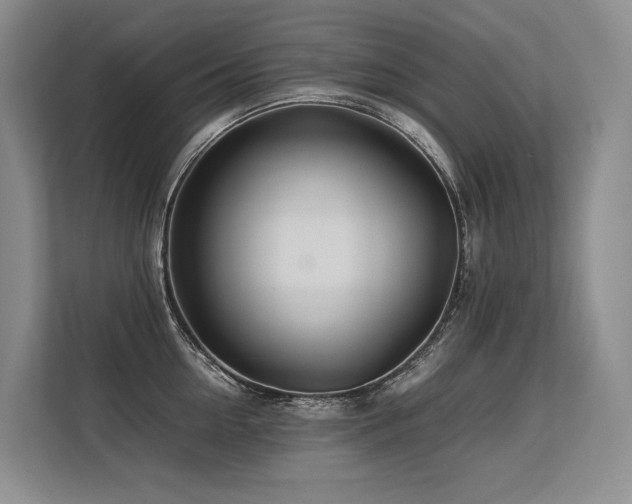 X0000113560954200909181217