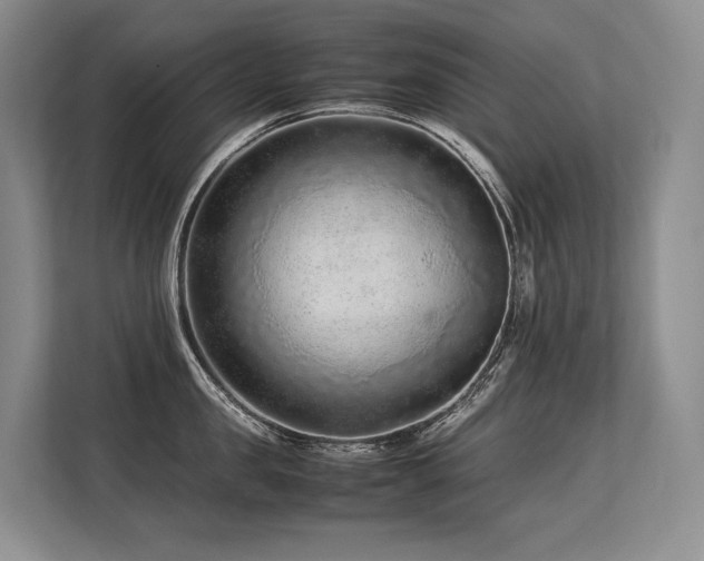 X0000113560957200909181217