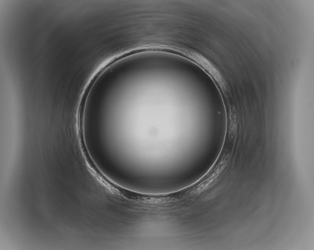 X0000113560958200909181217