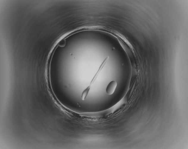 X0000113560959200909181217