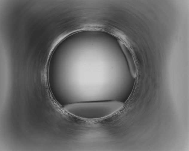 X0000113560960200909181217
