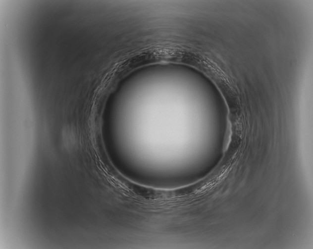 X0000113560961200909181216