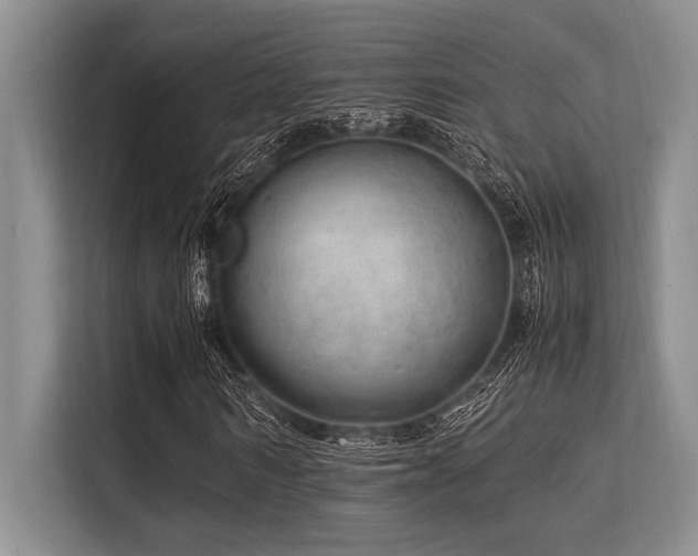 X0000113560962200909181216