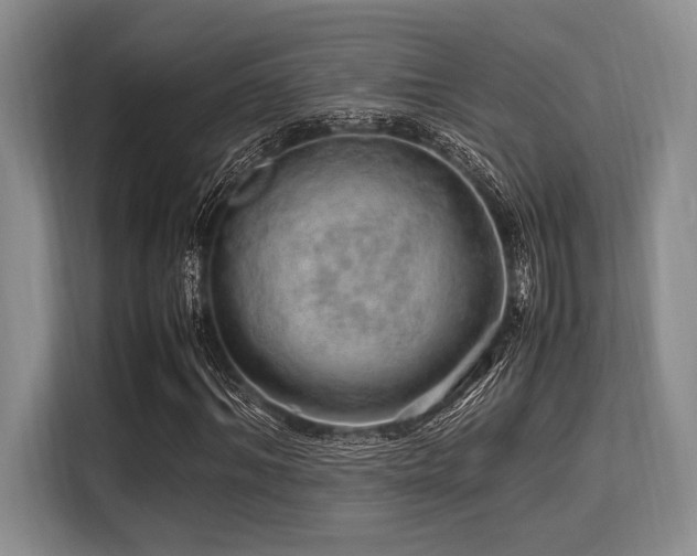 X0000113560964200909181216