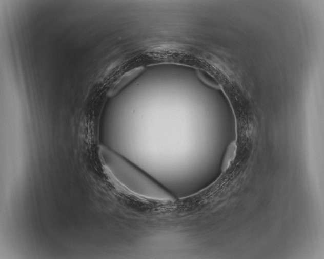 X0000113560965200909181216