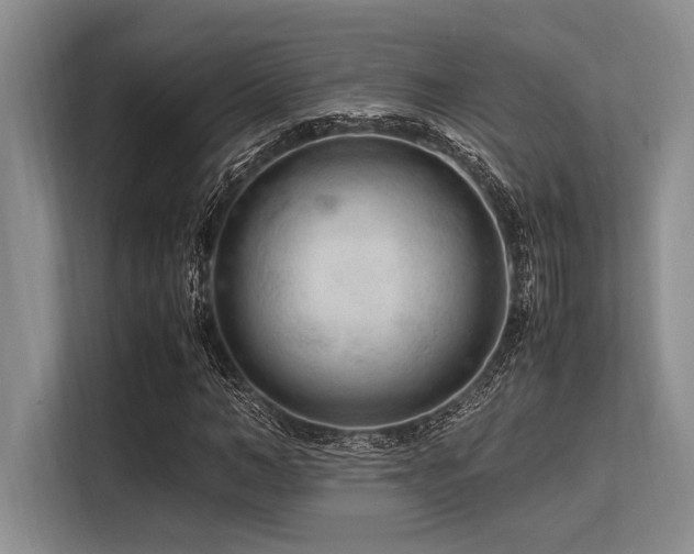 X0000113560966200909181216